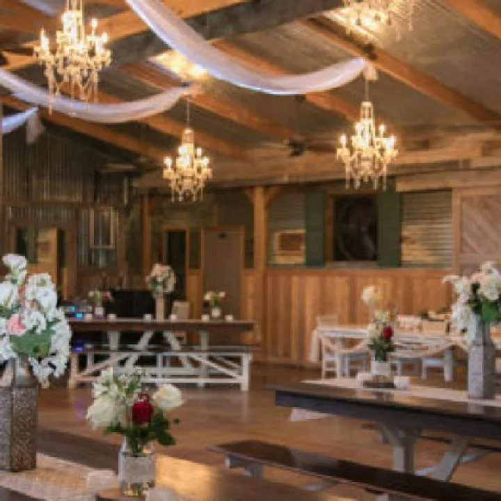 Tasha.... Photo On Jungo Live