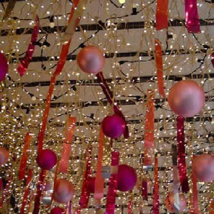 Gatica Photo On Jungo Live