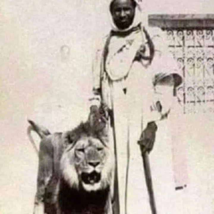 Medmkv Photo On Jungo Live