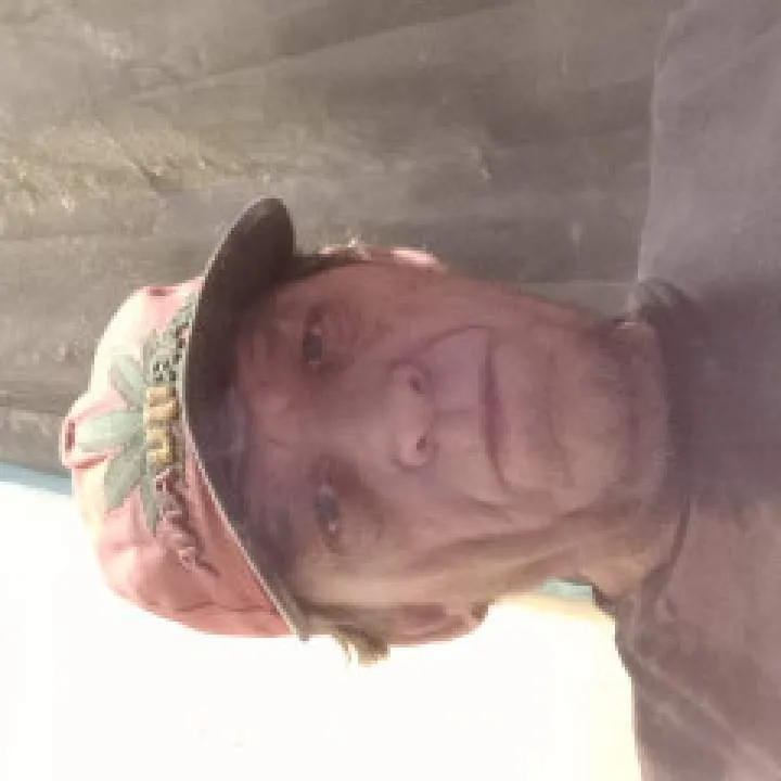 Holepuncher Photo On Jungo Live