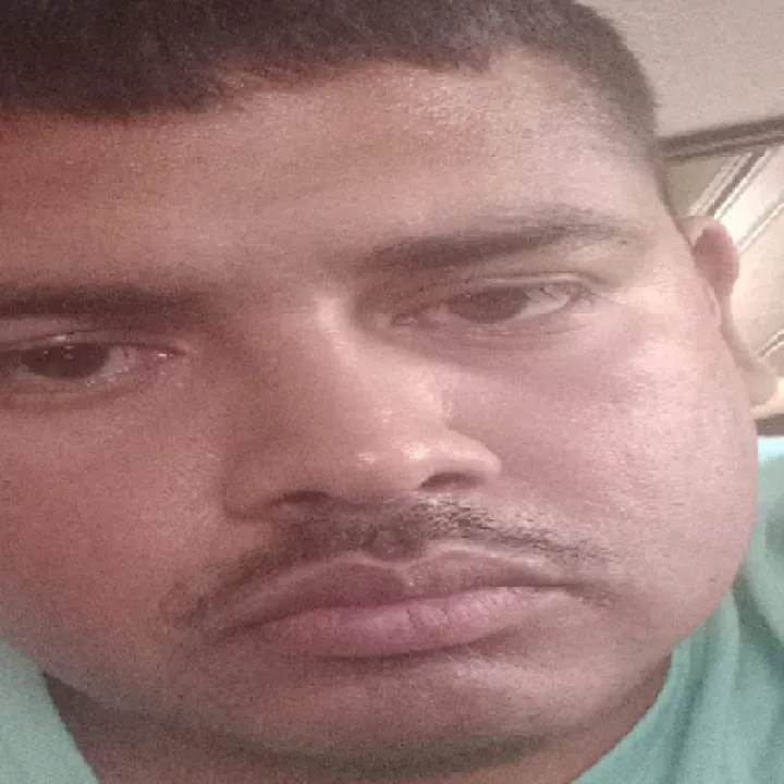 Homer Simpson Photo On Jungo Live