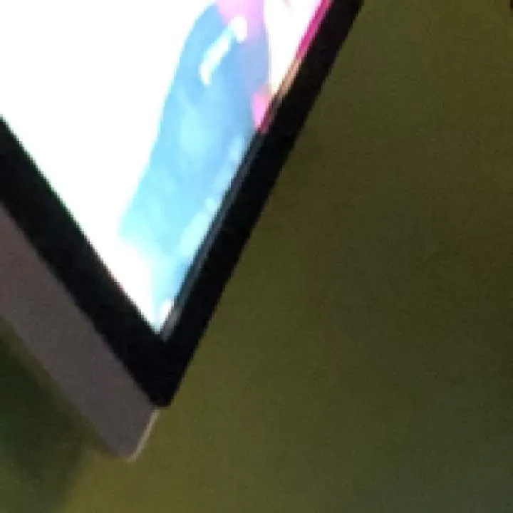 Buck Photo On Jungo Live