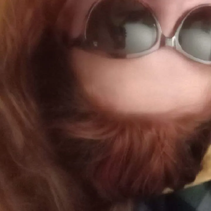 Xena Photo On Jungo Live