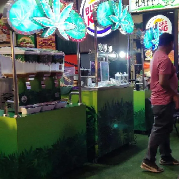 Mirt Photo On Jungo Live