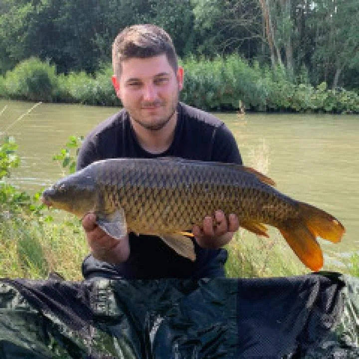 Prowel Photo On Jungo Live