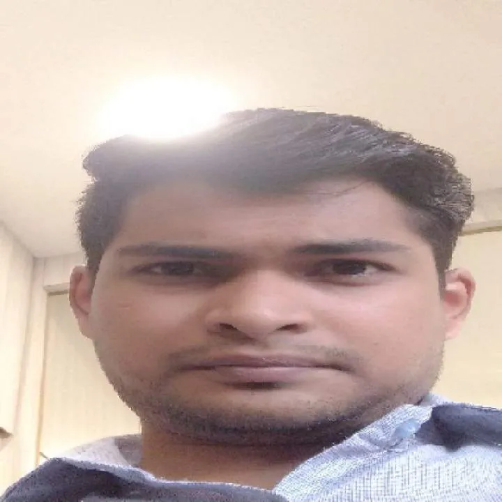 Falcon.... Photo On Jungo Live