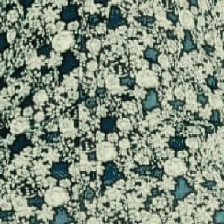 Czarpvns Photo On Jungo Live