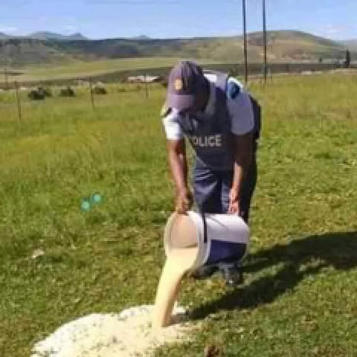 Sandile Photo On Jungo Live