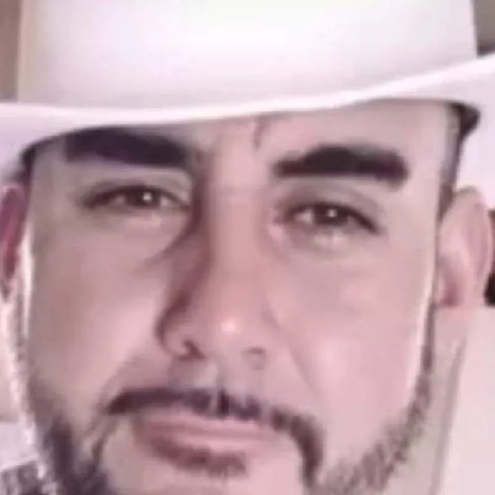 Calibear16 Photo On Jungo Live