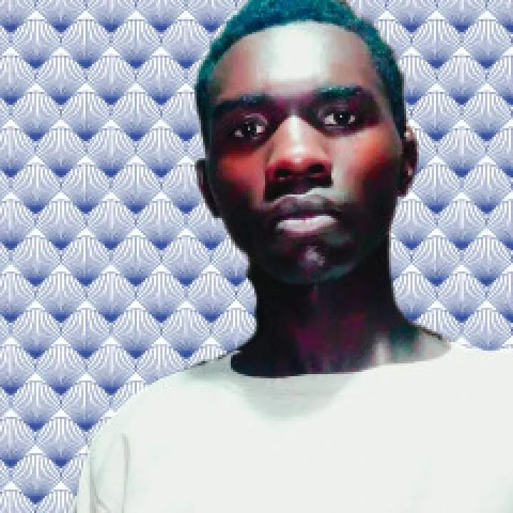 Org2 Photo On Jungo Live