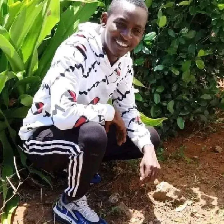 D Photo On Jungo Live