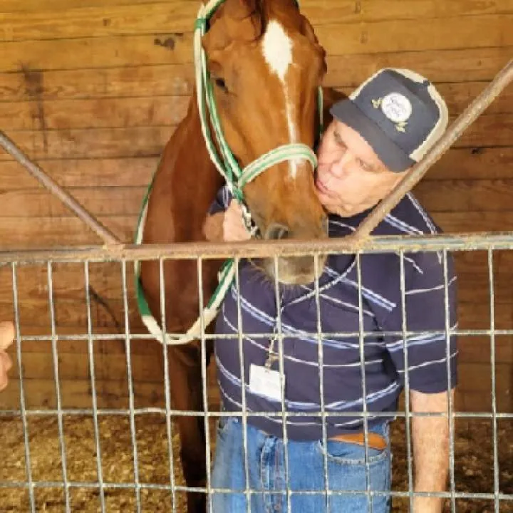 Country ........ Photo On Jungo Live