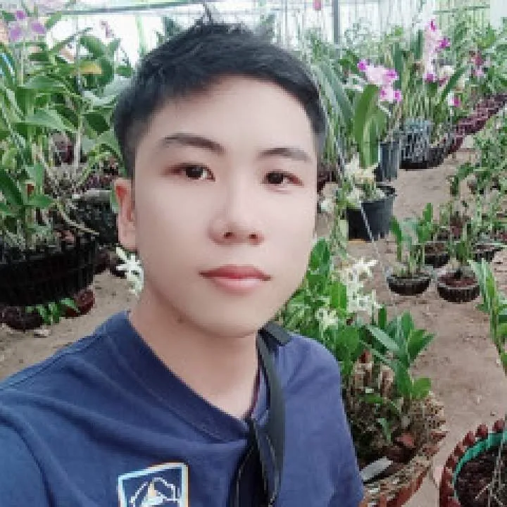 Hnhut Photo On Jungo Live