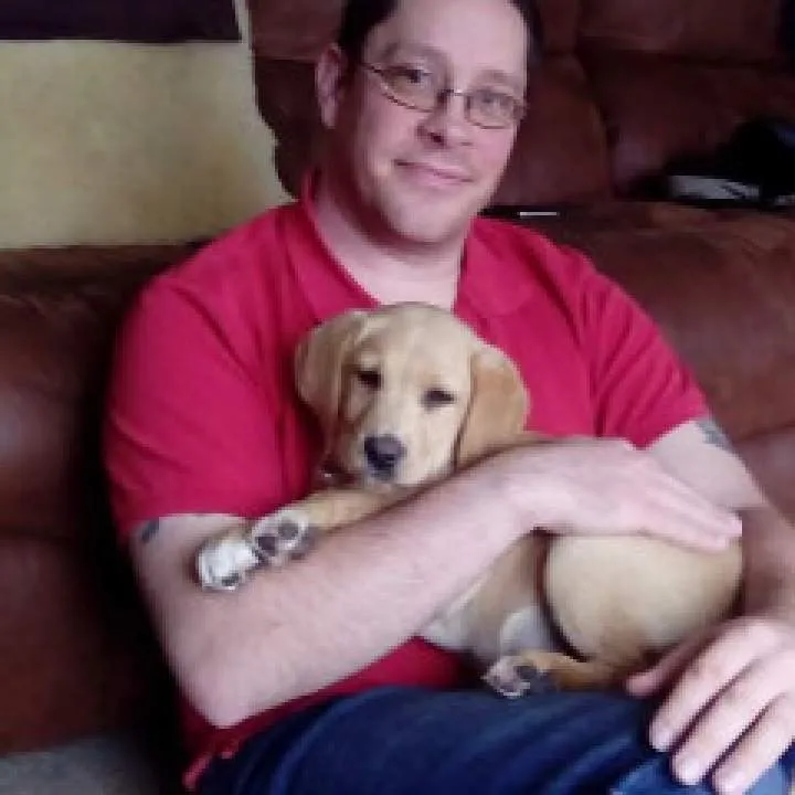 Wolfenstin Photo On Jungo Live