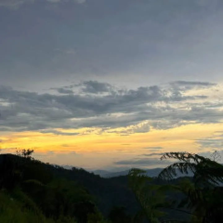 Double I Photo On Jungo Live