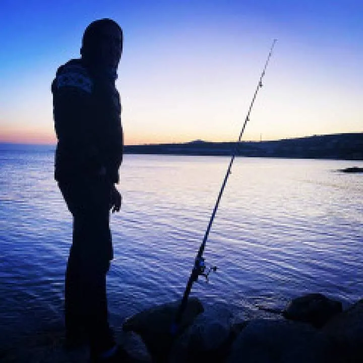 Alonegyizmir Photo On Jungo Live