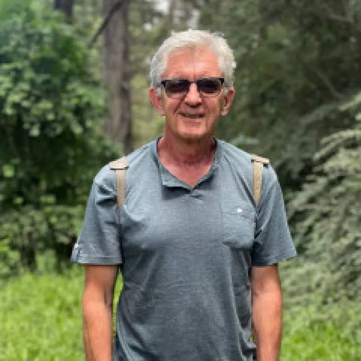 Swisscheese Photo On Jungo Live