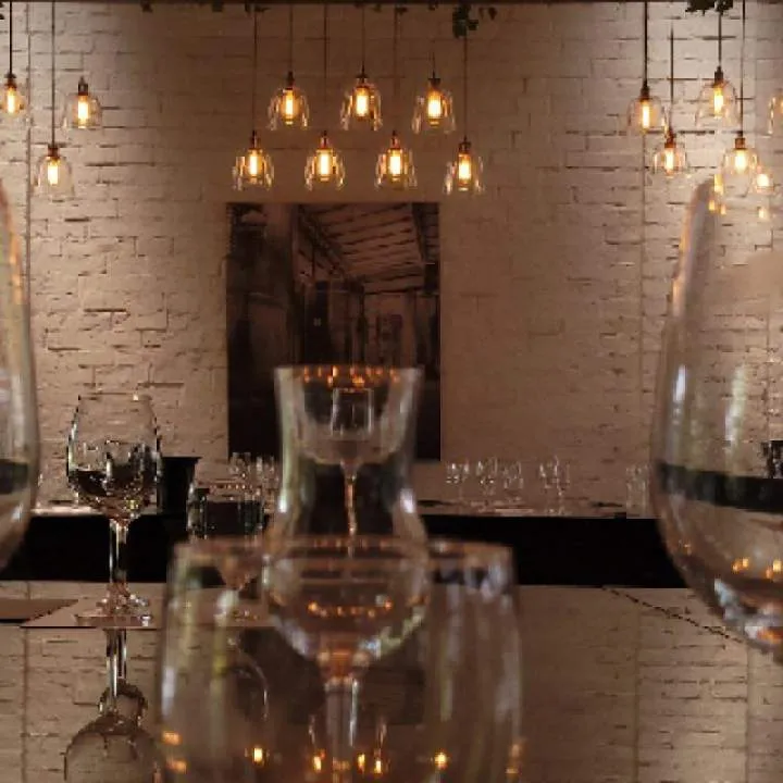 Roko Photo On Jungo Live