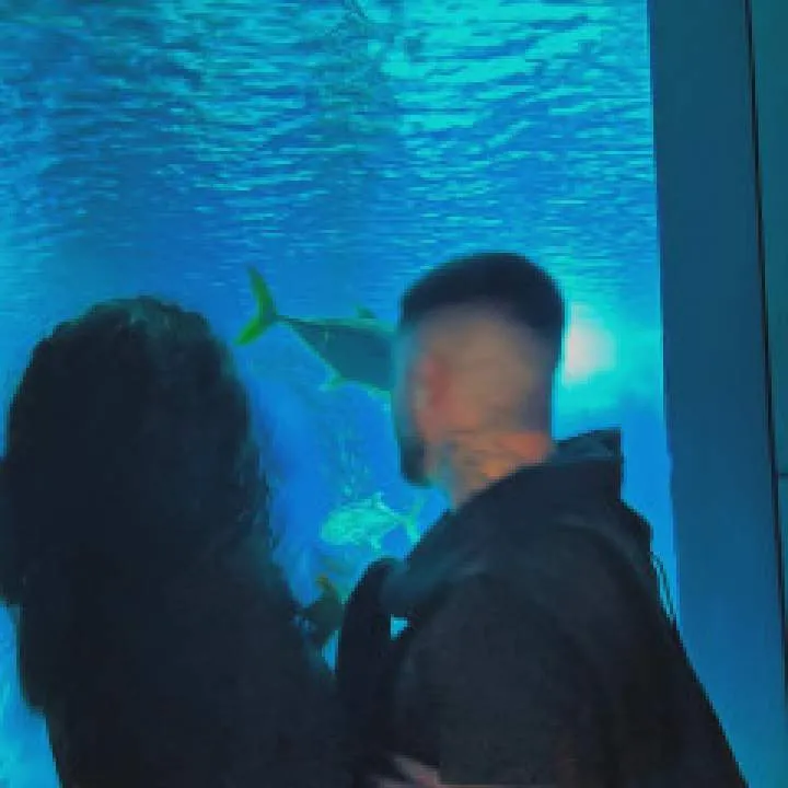 Nevertheless Photo On Jungo Live