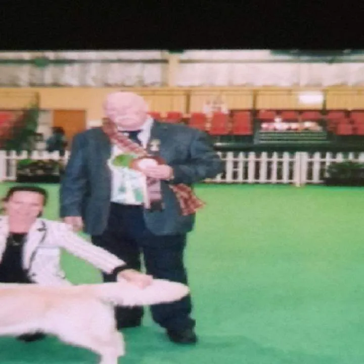 Diabach Photo On Jungo Live