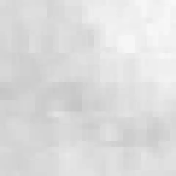 Mamoth Photo On Jungo Live