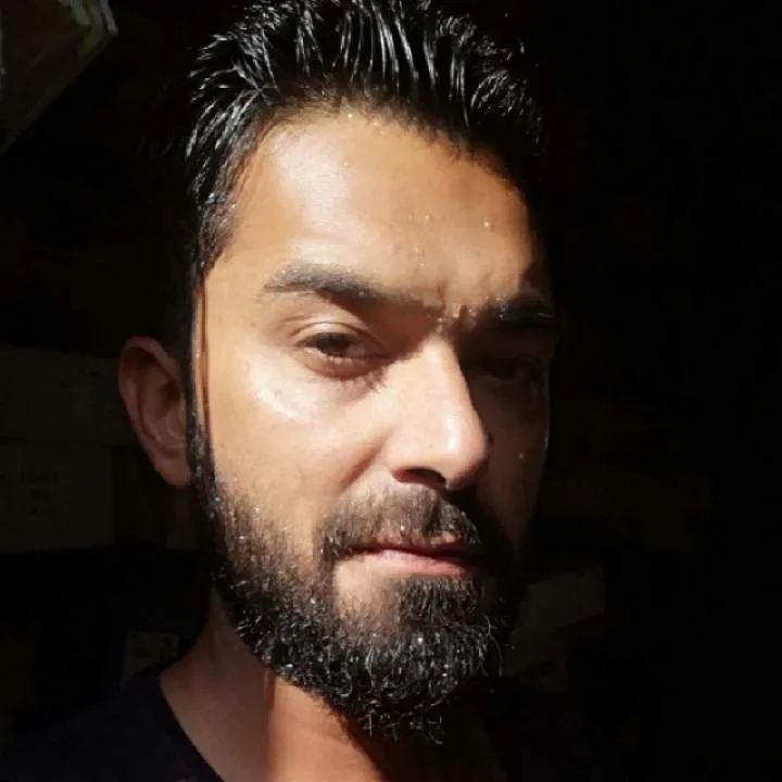 Dreamboat Photo On Jungo Live