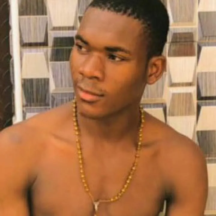 Sugarcane Photo On Jungo Live