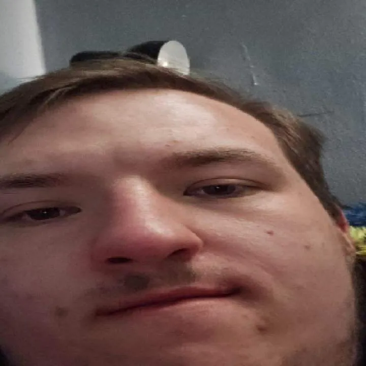 Harley Photo On Jungo Live