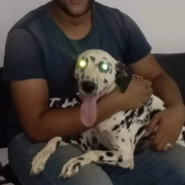 B_smill Photo On Jungo Live