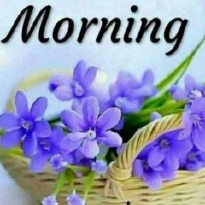 Nitin ....shole Photo On Jungo Live