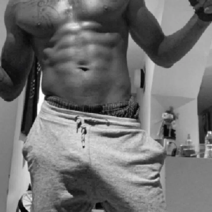 Bbc Bull 87 Photo On Jungo Live