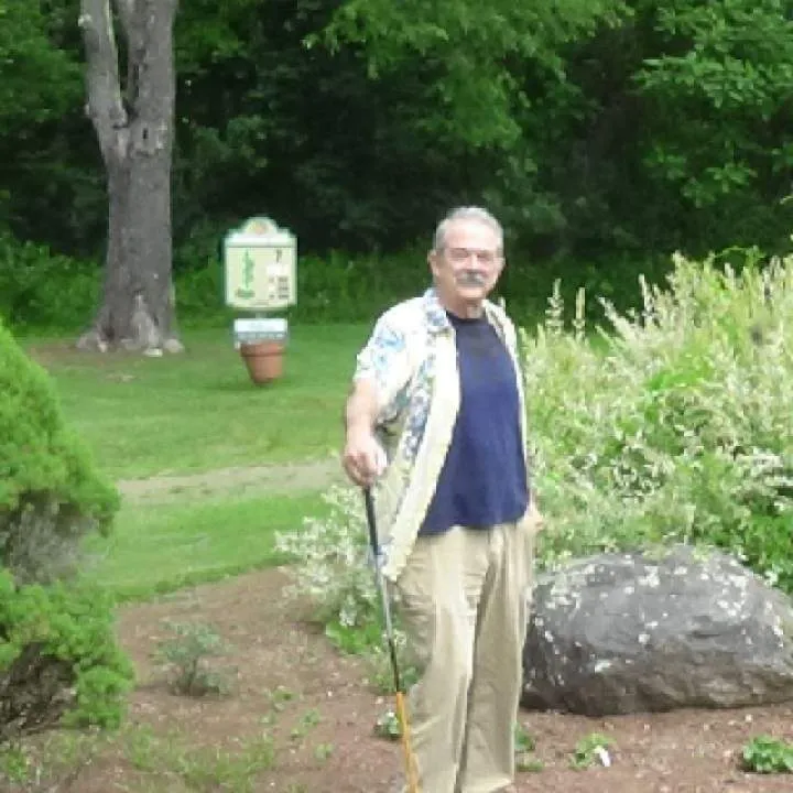 Pug Photo On Jungo Live