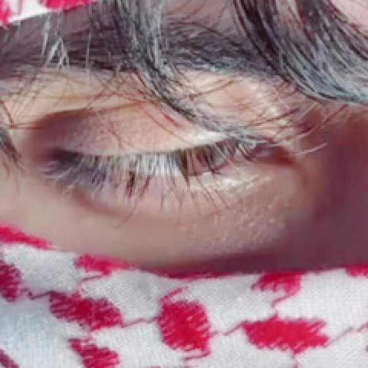 Zohan Photo On Jungo Live