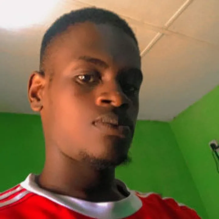 Ardvark Photo On Jungo Live