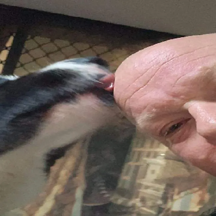 Ranga Photo On Jungo Live