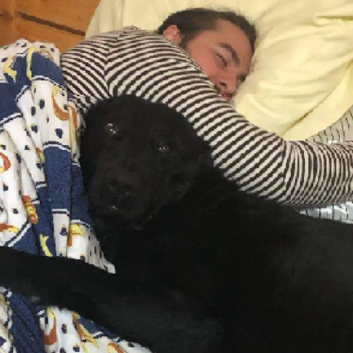 Alex Photo On Jungo Live