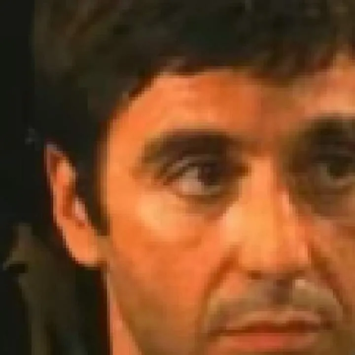 S. Photo On Jungo Live