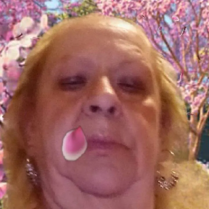 Robin Photo On Jungo Live