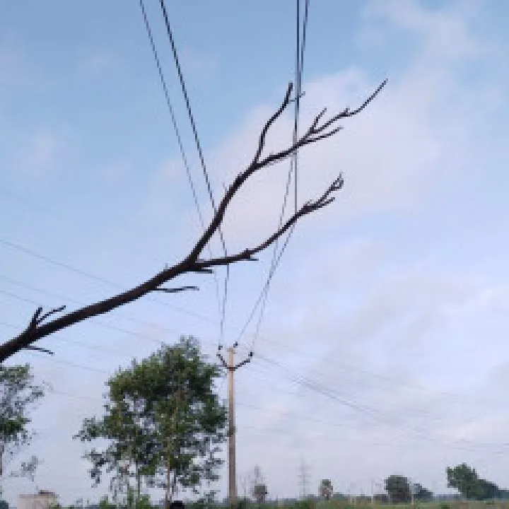 Sudhir Photo On Jungo Live