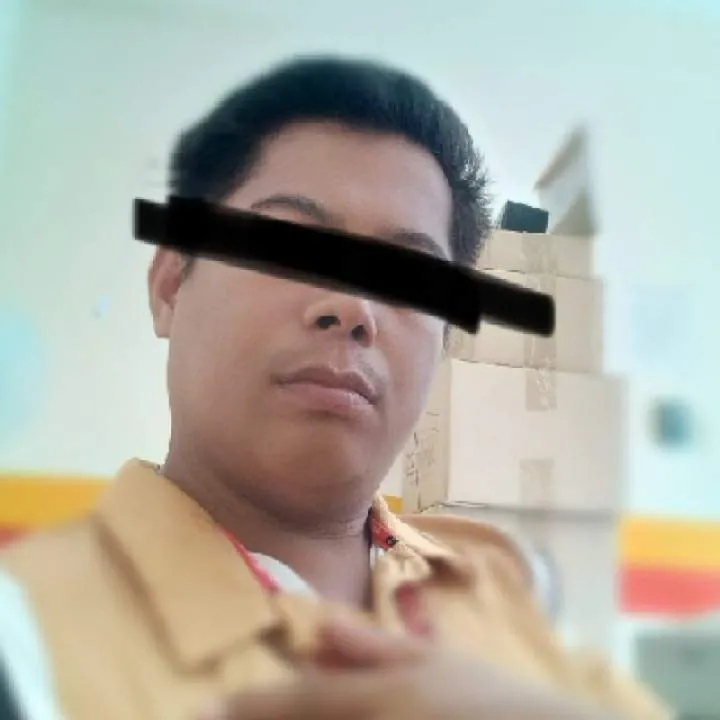 Bullbull Photo On Jungo Live