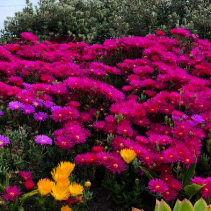 Testeraccount Photo On Jungo Live