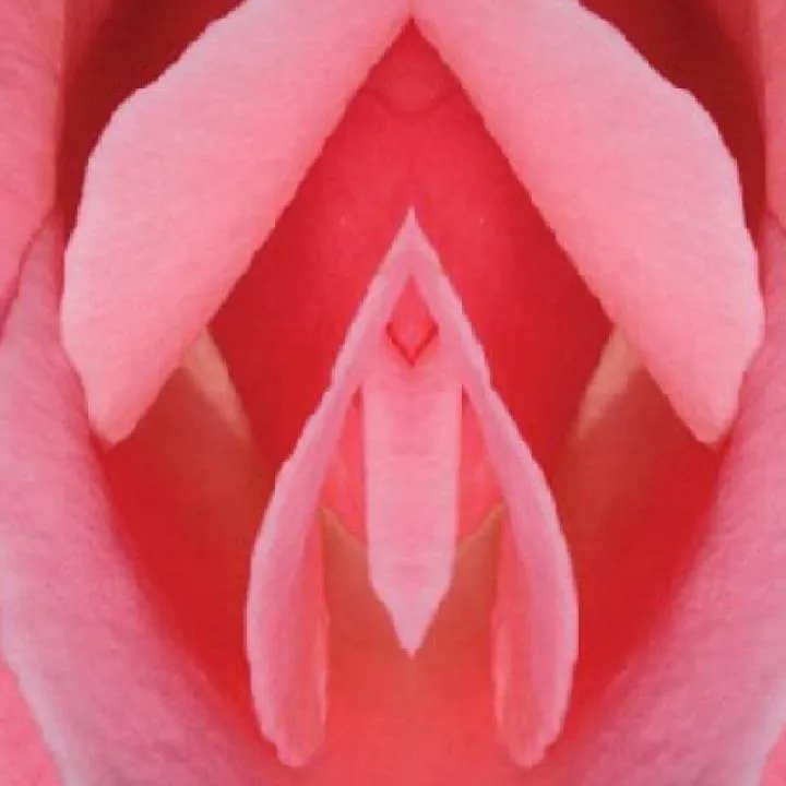 Lana Photo On Jungo Live