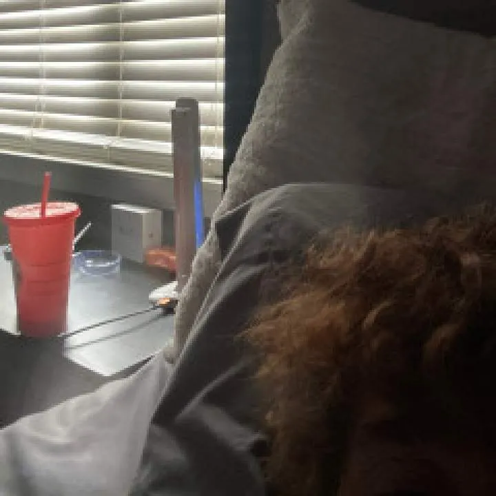 Alex Photo On Jungo Live