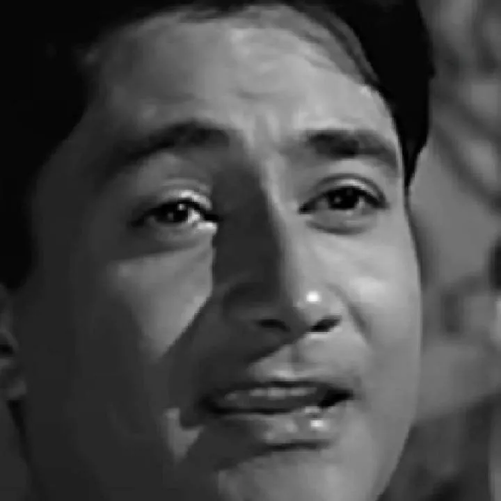 Calyx Photo On Jungo Live