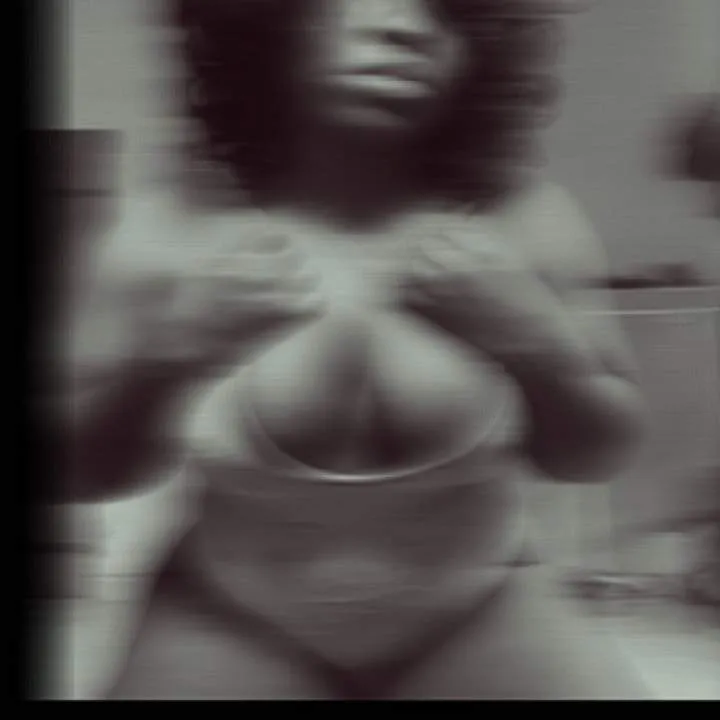 Bunny Photo On Jungo Live