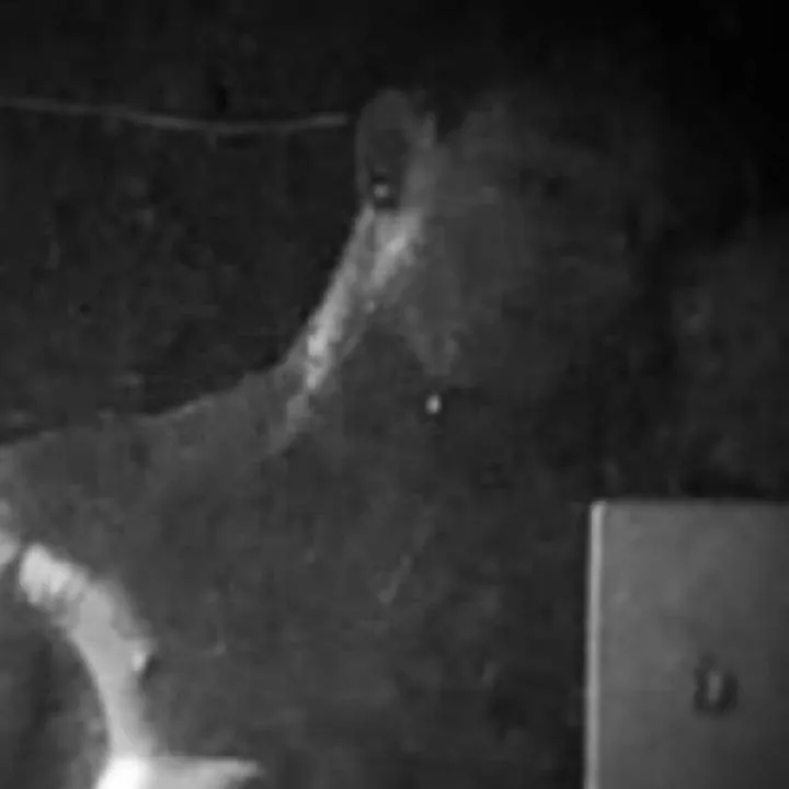 Emonmane_ Photo On Jungo Live