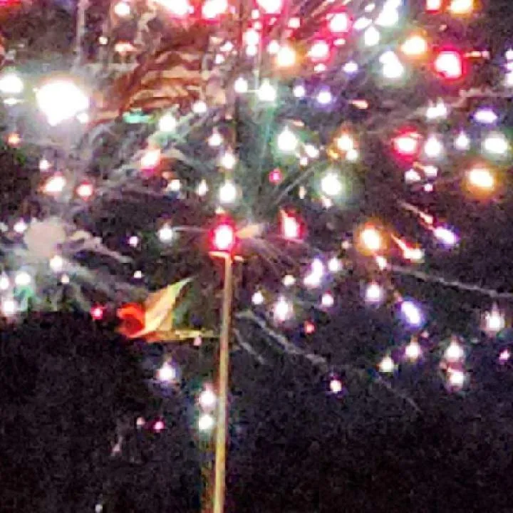 Snickers47 Photo On Jungo Live