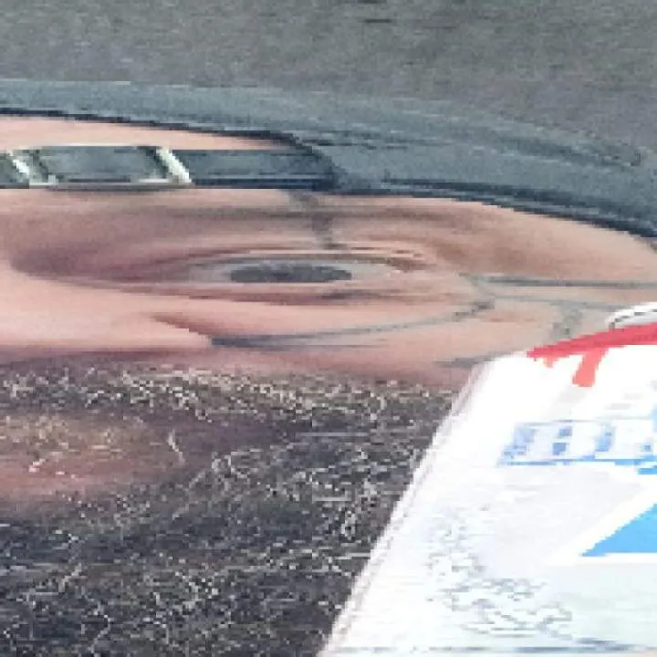 Timspaw Photo On Jungo Live