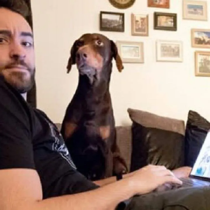 Markhughes Photo On Jungo Live