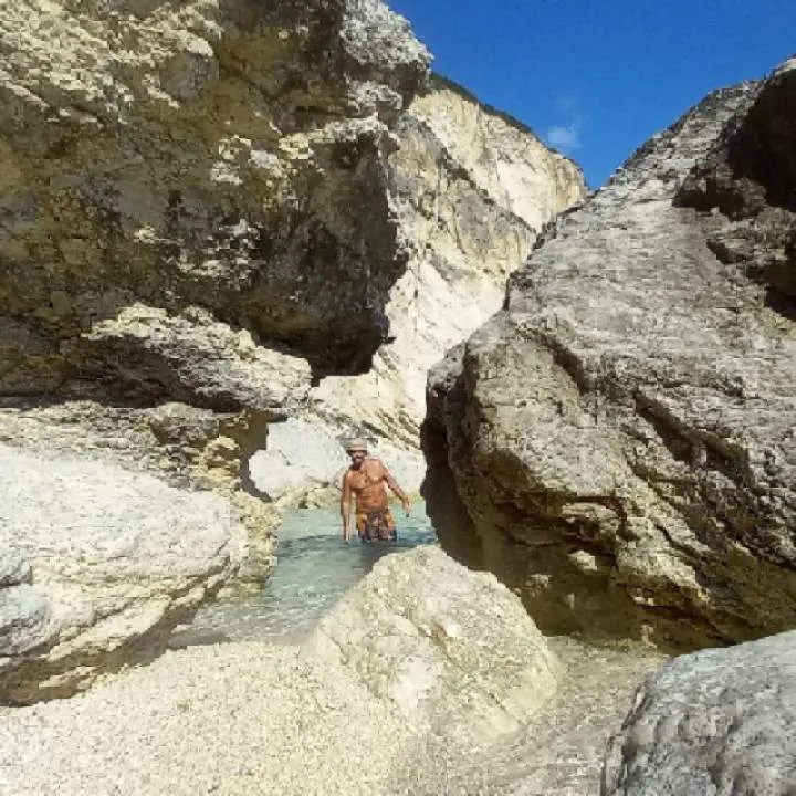 Josesalito Photo On Jungo Live